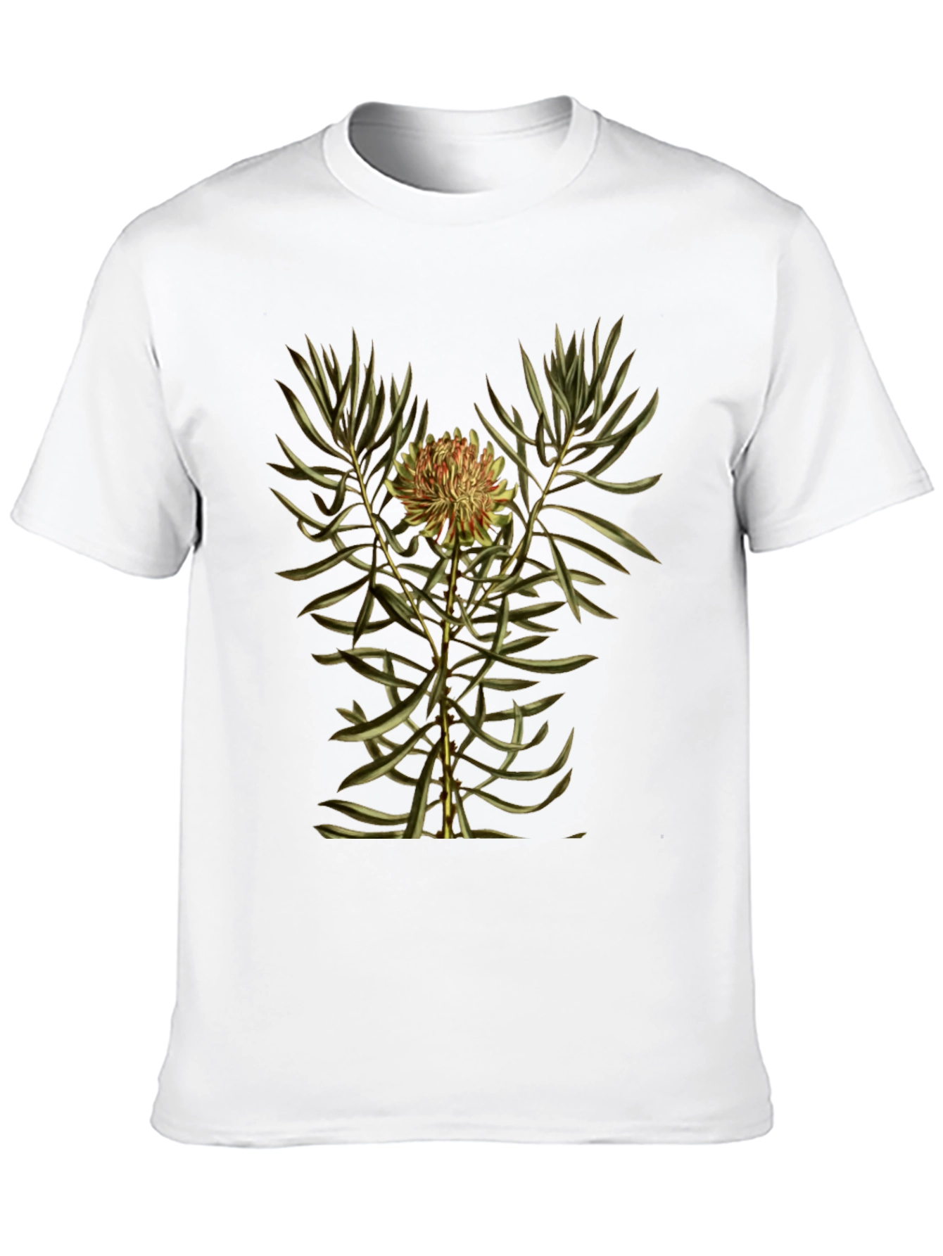 Botanical Print Black T-Shirt