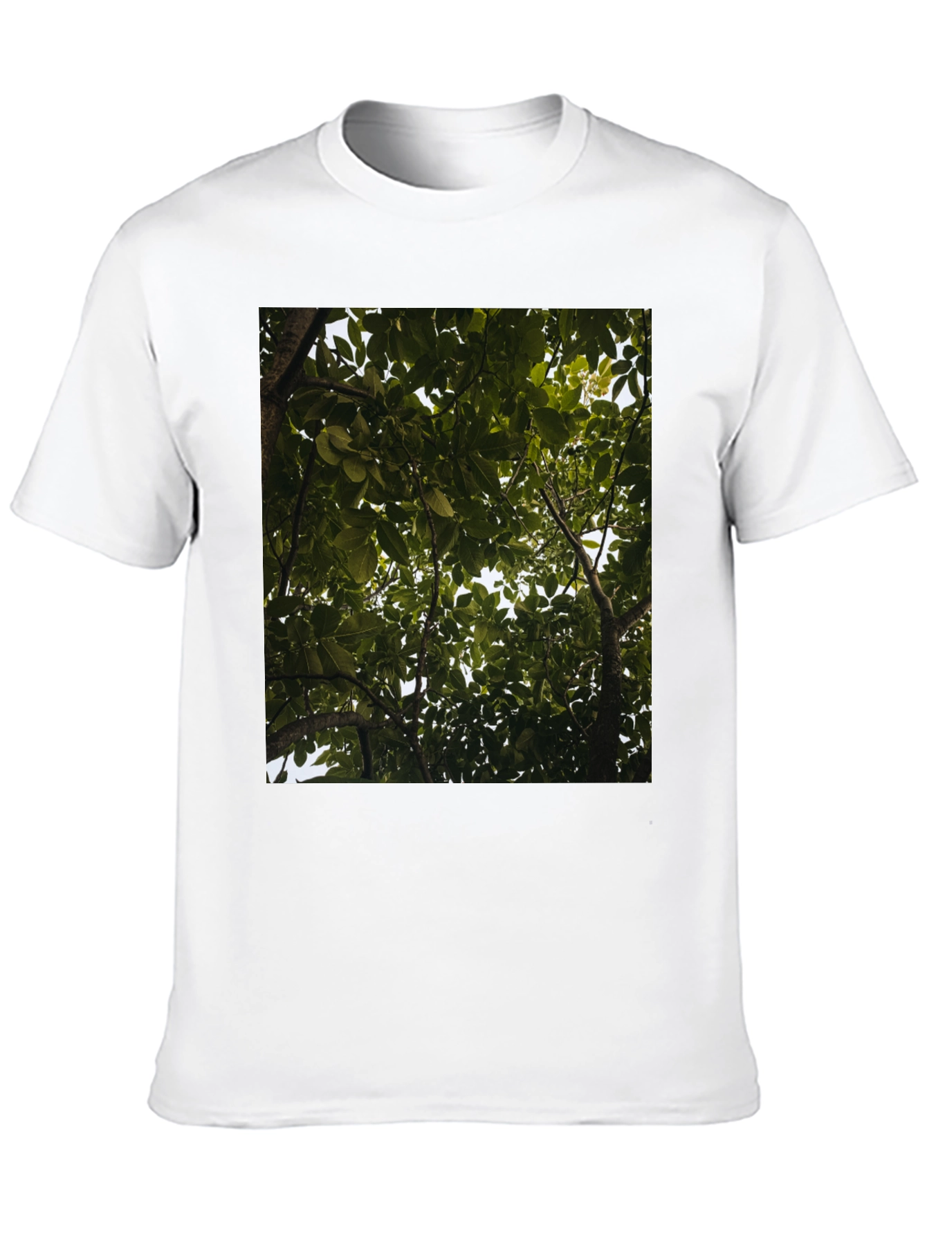 Arboreal View Graphic Tee - Nature Inspired