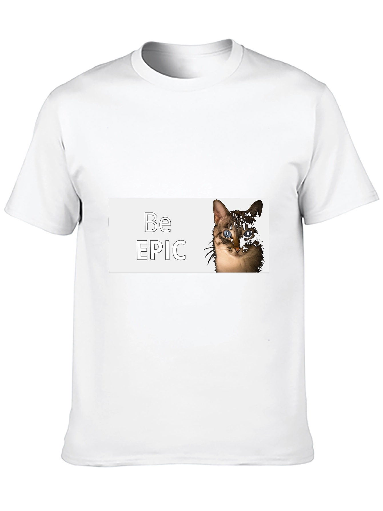 Be Epic Cat Graphic Black T-Shirt