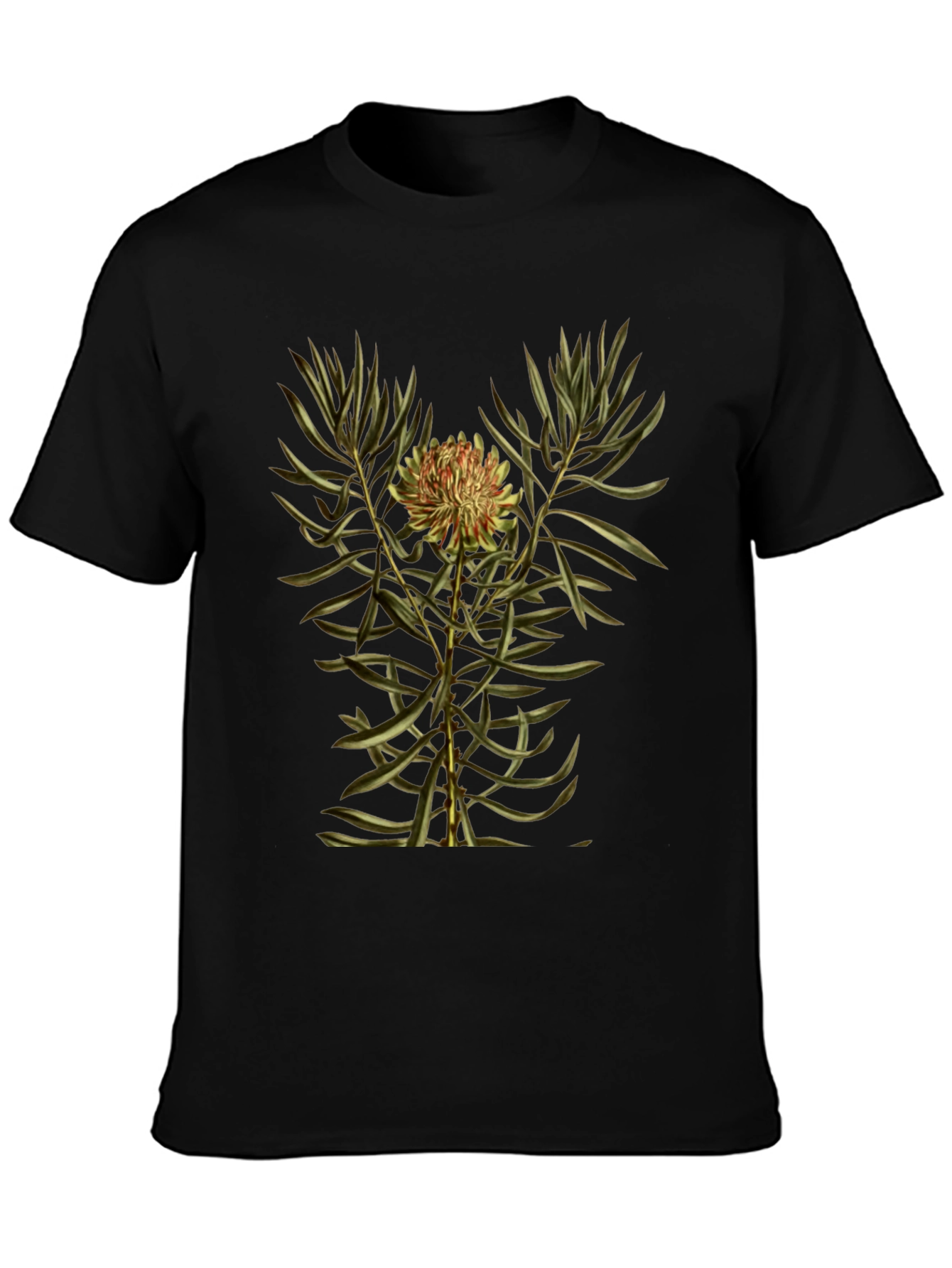 Botanical Print Black T-Shirt