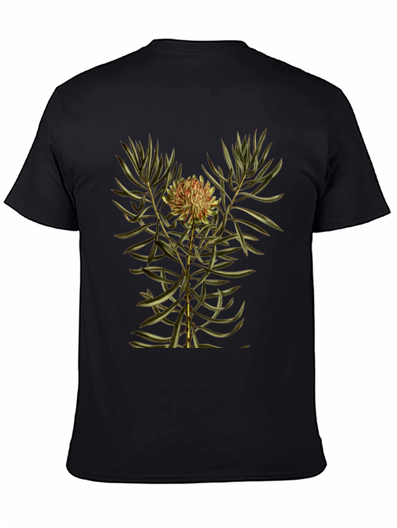 Botanical Print Black T-Shirt