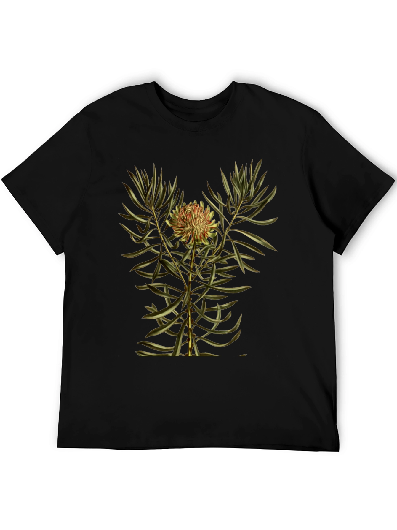 Botanical Print Black T-Shirt