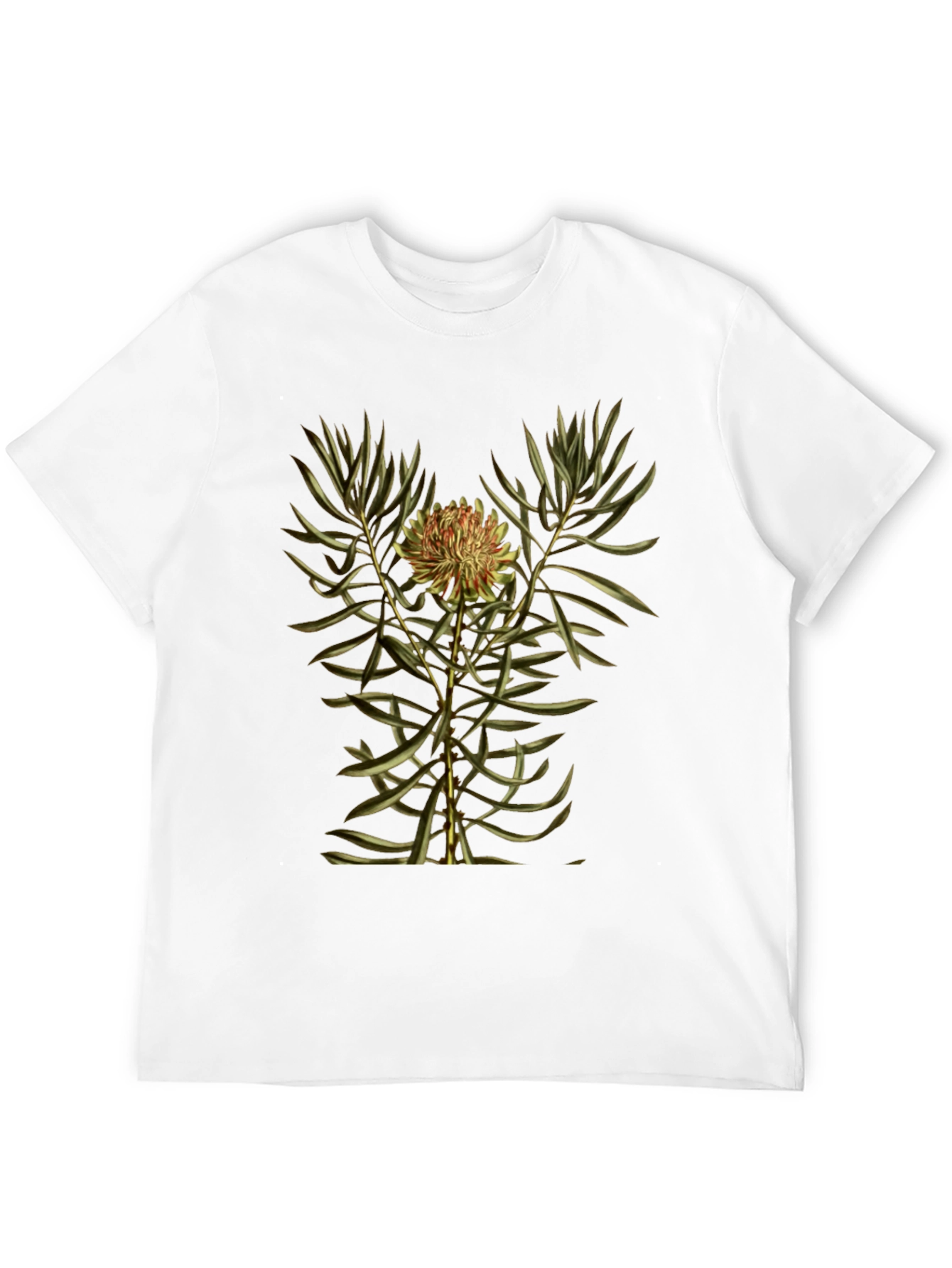Botanical Print Black T-Shirt