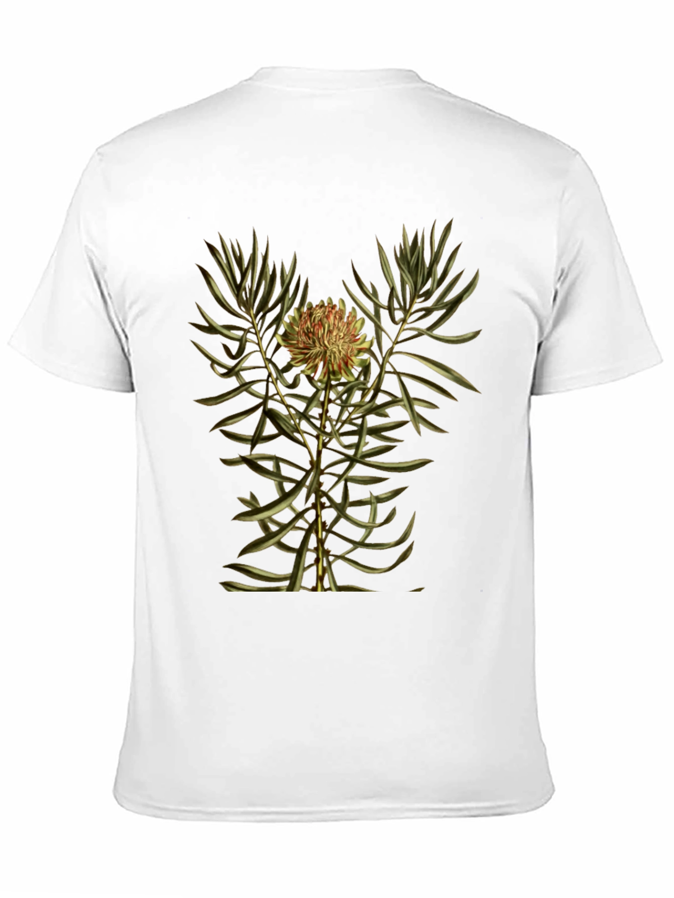 Botanical Print Black T-Shirt