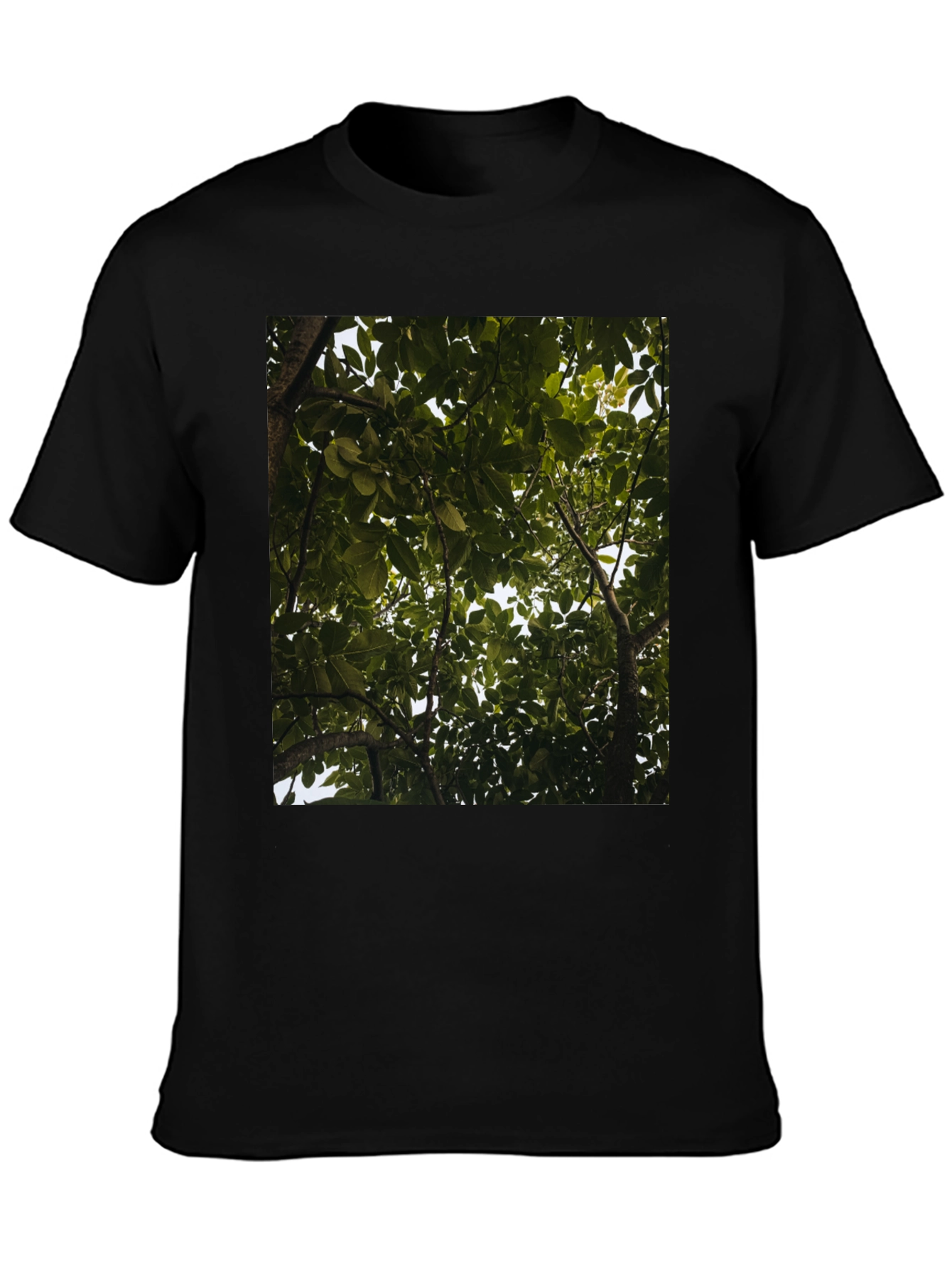 Arboreal View Graphic Tee - Nature Inspired