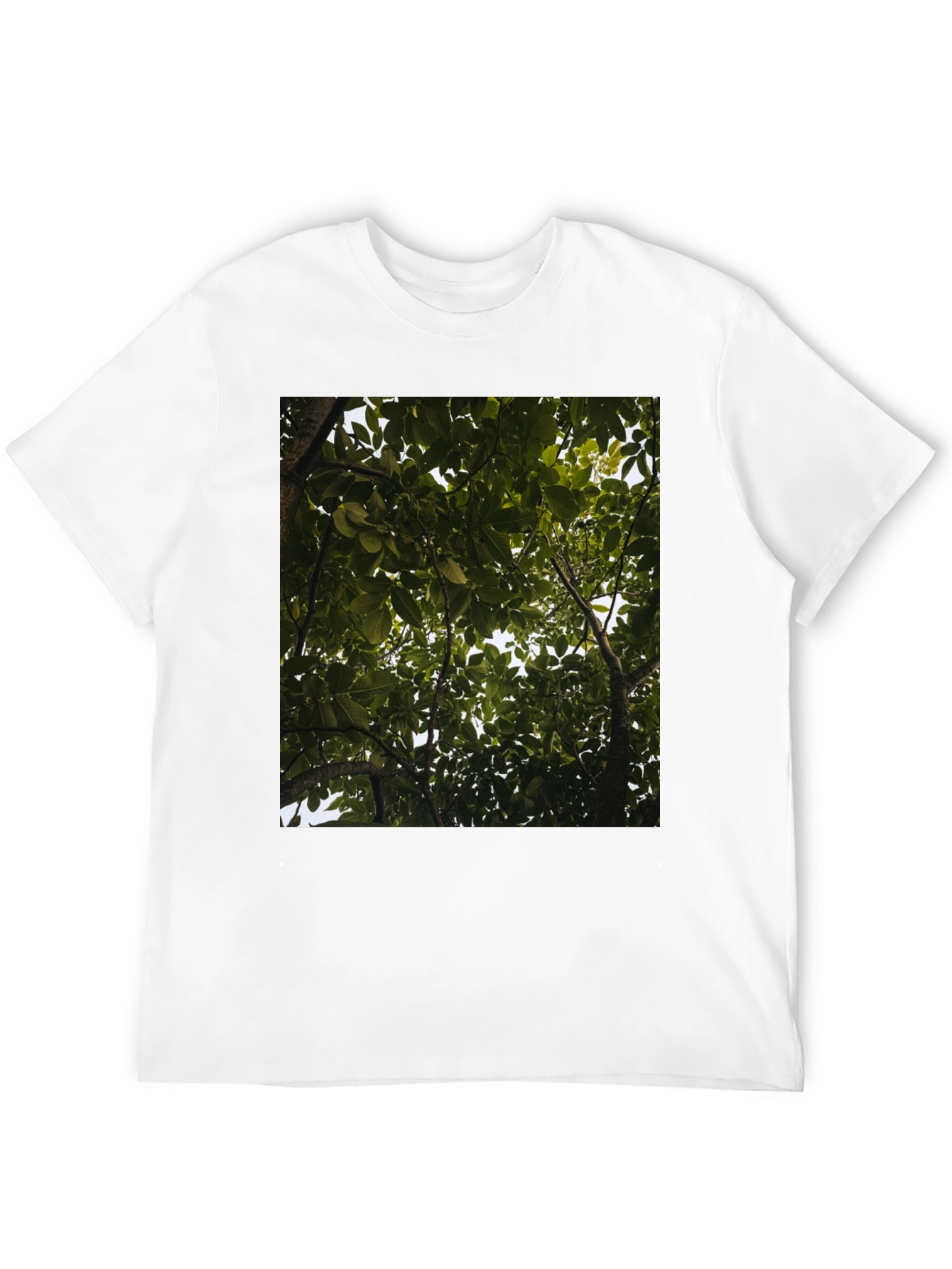 Arboreal View Graphic Tee - Nature Inspired