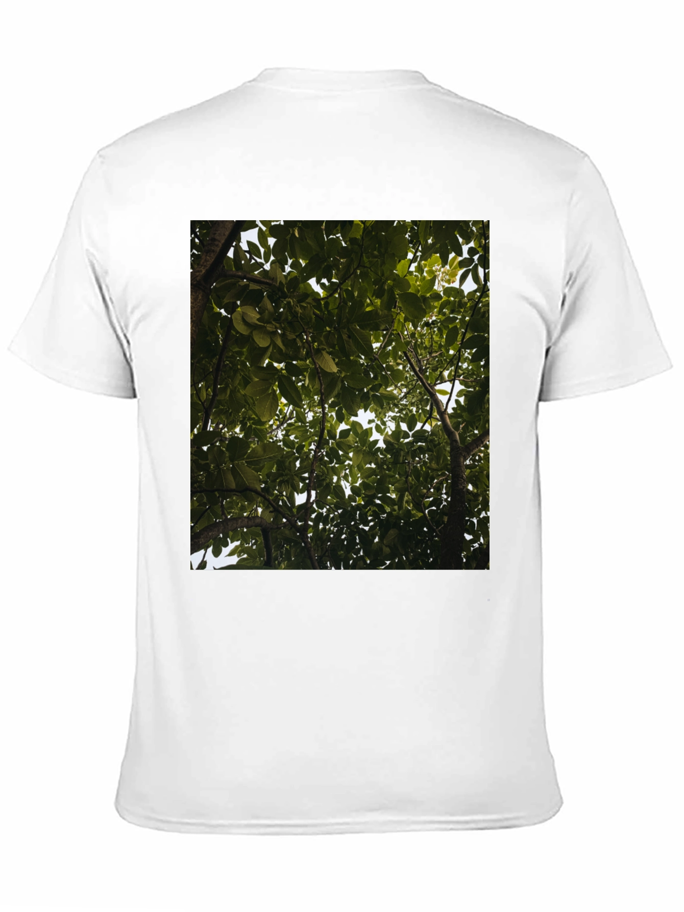 Arboreal View Graphic Tee - Nature Inspired