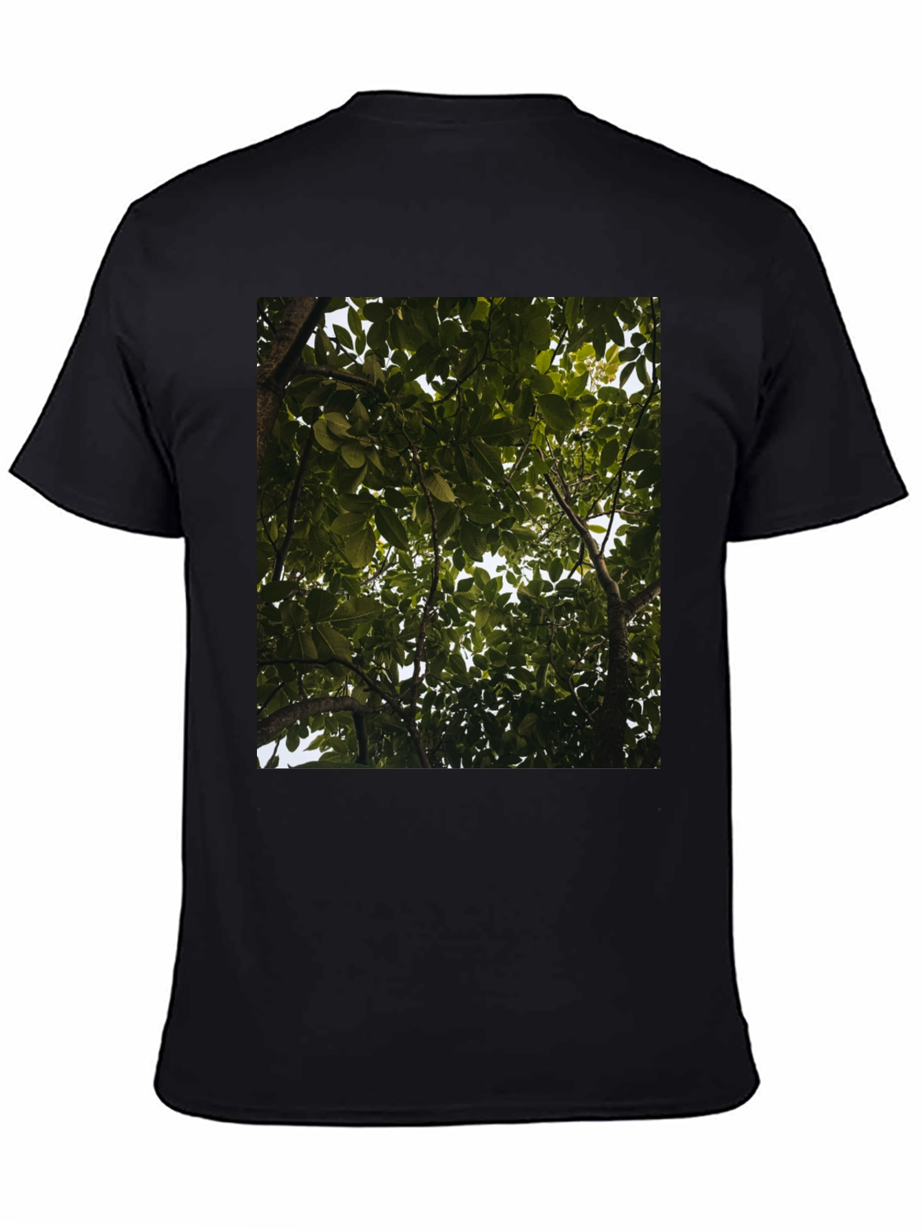 Arboreal View Graphic Tee - Nature Inspired