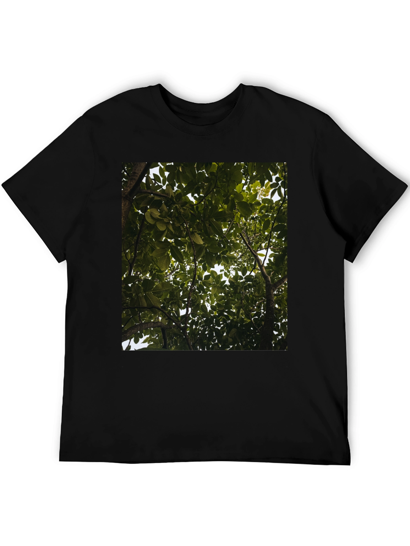 Arboreal View Graphic Tee - Nature Inspired