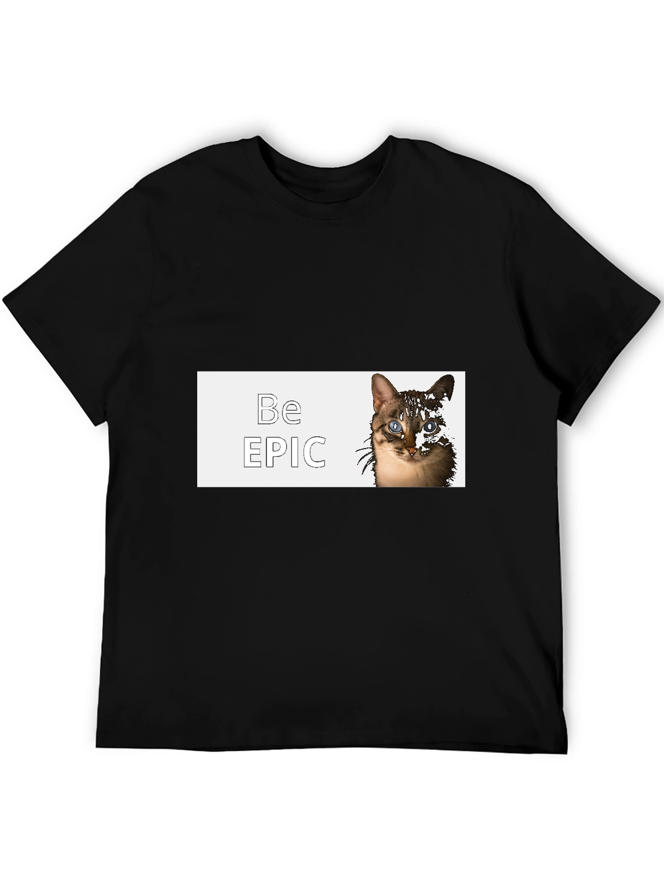 Be Epic Cat Graphic Black T-Shirt