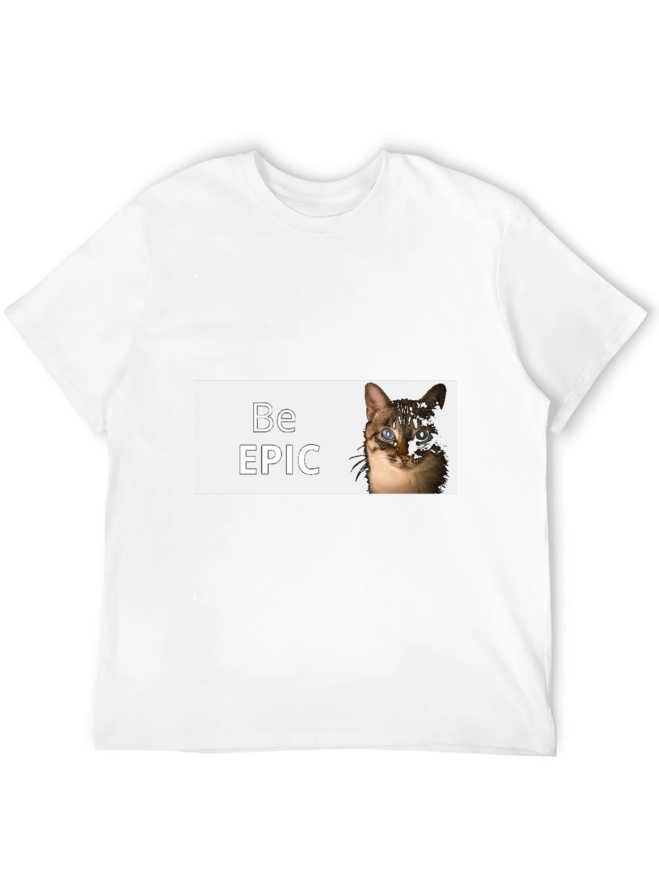 Be Epic Cat Graphic Black T-Shirt
