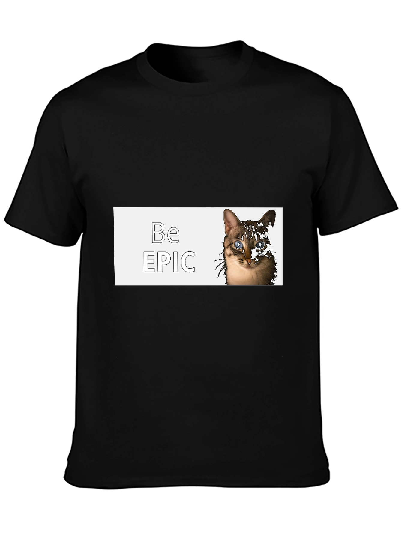 Be Epic Cat Graphic Black T-Shirt