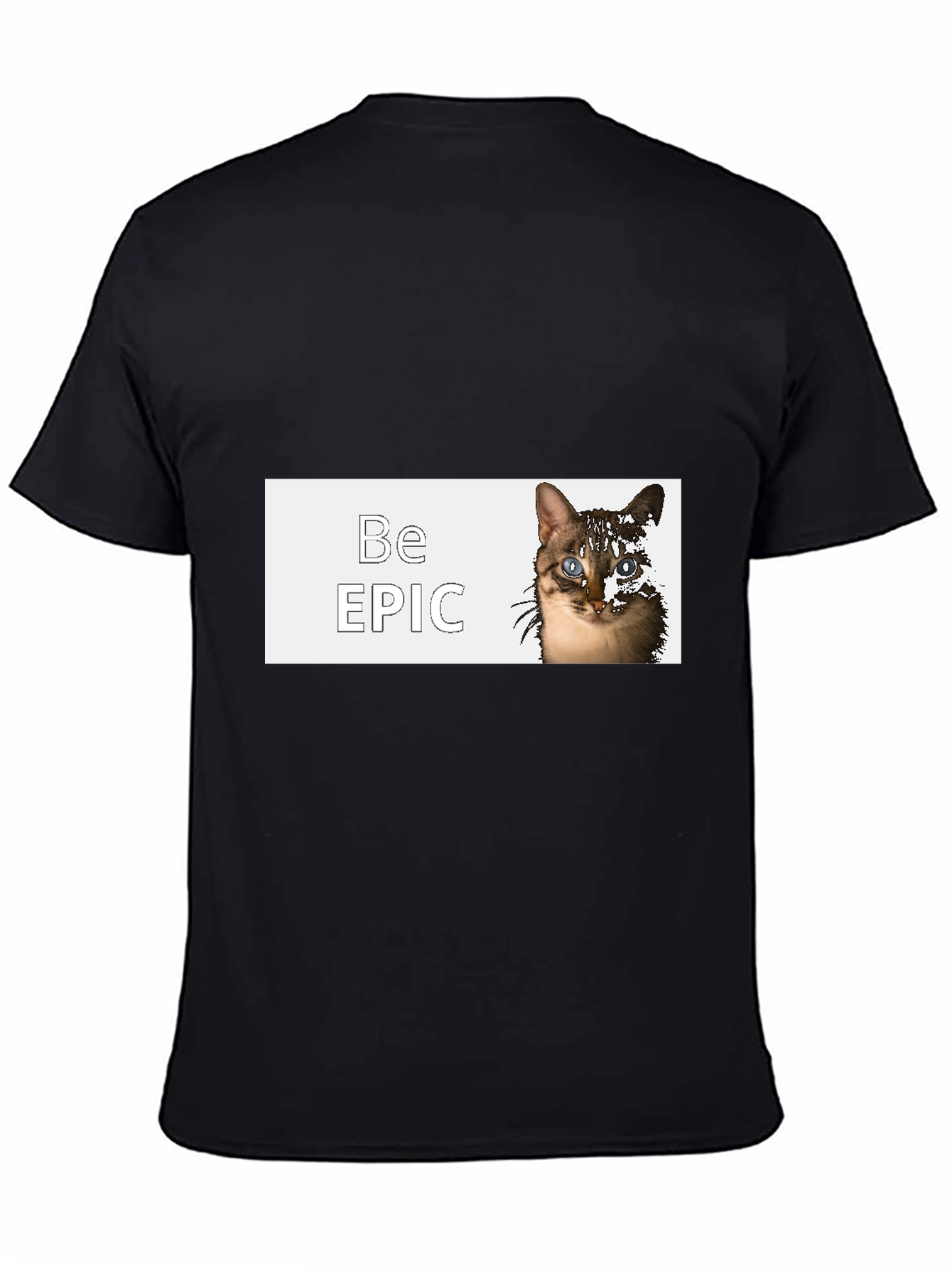 Be Epic Cat Graphic Black T-Shirt
