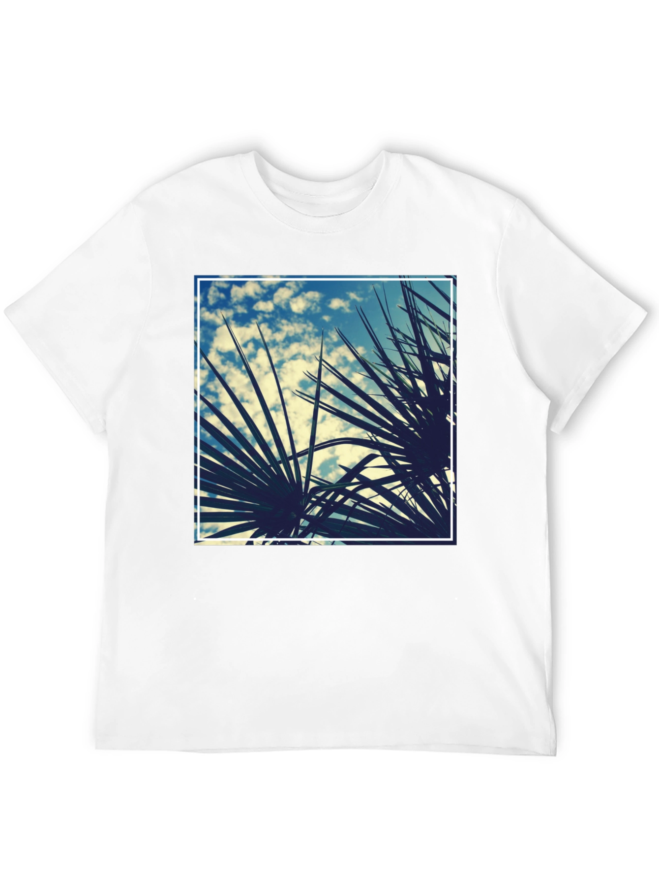Tropical Palms Graphic Tee - Black Cotton Shirt