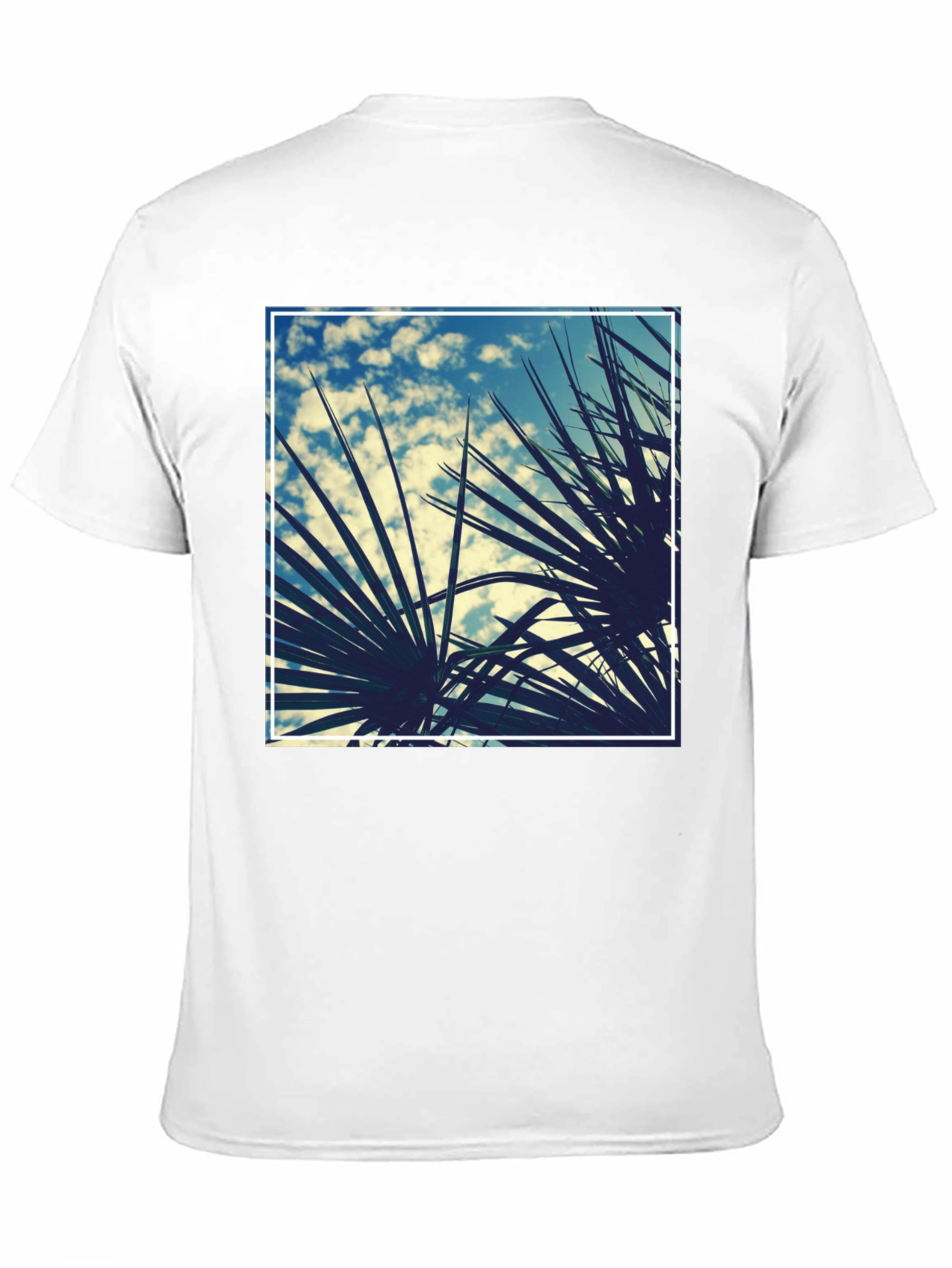 Tropical Palms Graphic Tee - Black Cotton Shirt